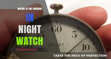 Where's the Chicken in Night Watch? Uncovering the Mystery