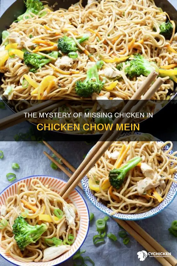 where is the chicken in the chicken chow mein