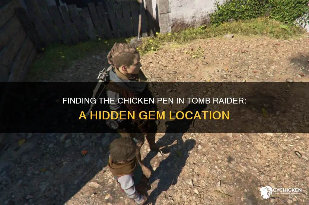 where is the chicken pen in tomb raider