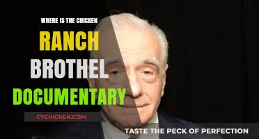 Exploring the Infamous Chicken Ranch Brothel Documentary: Location and Insights