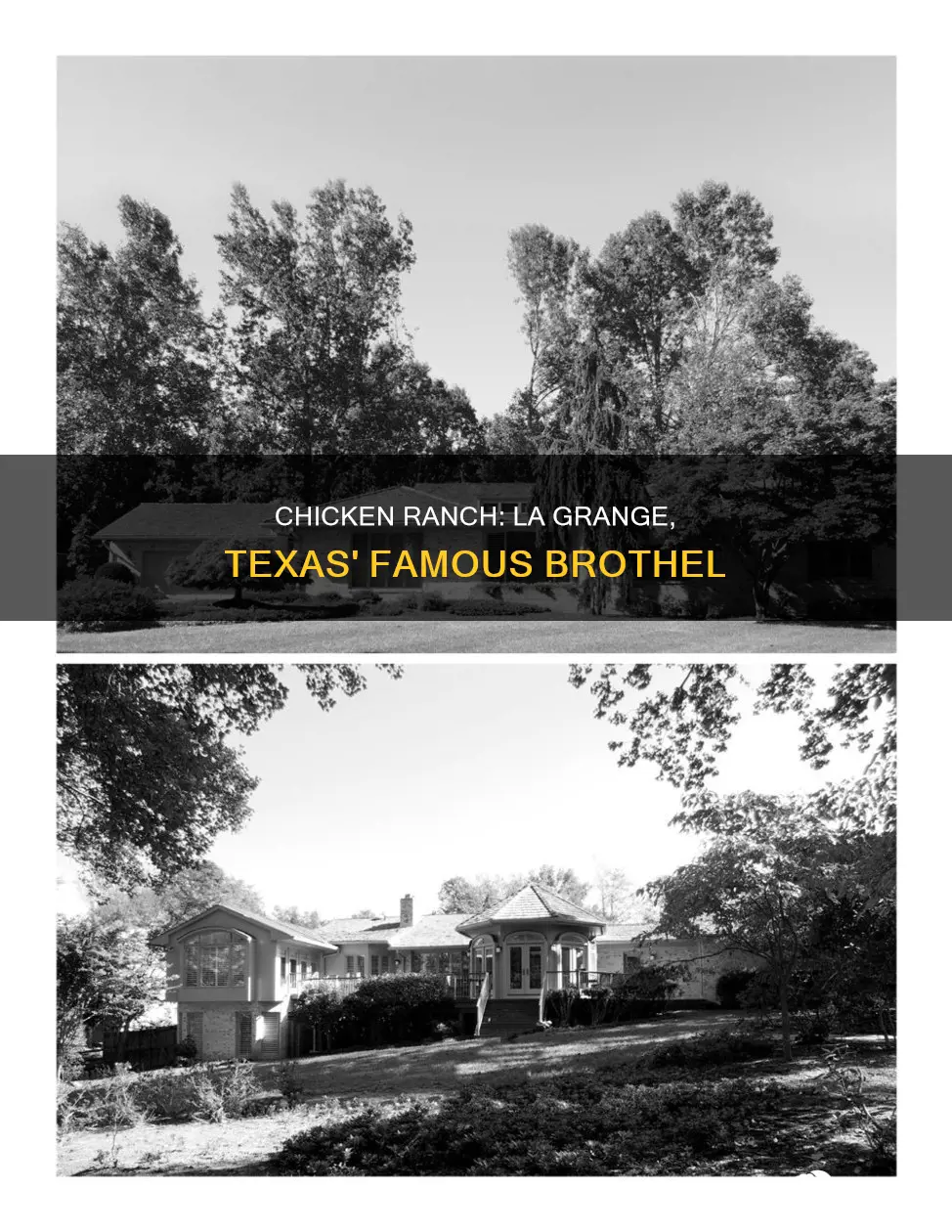 where is the chicken ranch in la grange texas