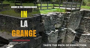 Discovering the Infamous Chicken Ranch Location in La Grange, Texas