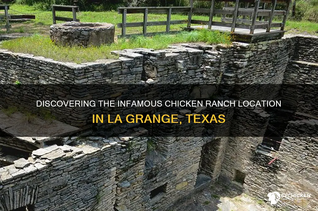 where is the chicken ranch in la grange
