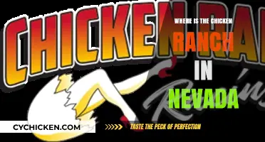 Discovering Nevada's Chicken Ranch: Location and Historical Insights