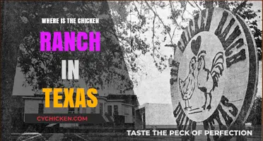 Discovering the Historic Chicken Ranch Location in Texas
