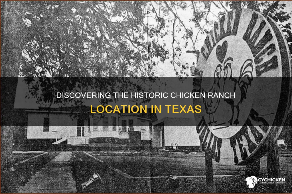 where is the chicken ranch in texas