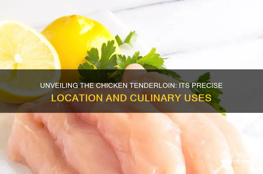 where is the chicken tenderloin cut from