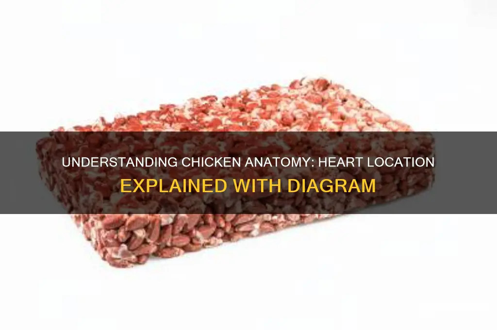 where is the chicken