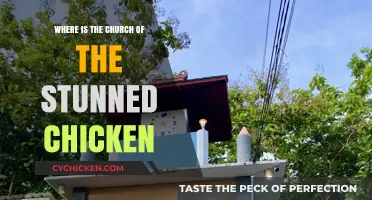 Unveiling the Mystery: Locating the Church of the Stunned Chicken