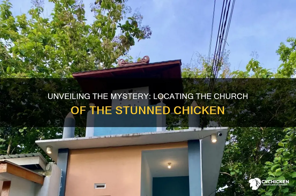 where is the church of the stunned chicken