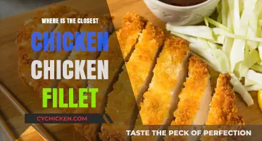 Find the Nearest Crispy Chicken Fillet: Your Ultimate Guide