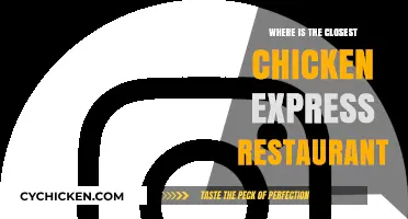 Find Your Nearest Chicken Express: Quick and Easy Location Guide