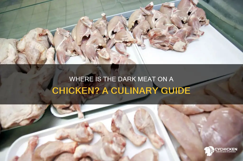 where is the dark meat on a chicken
