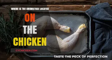 Uncovering the Drumstick: Locating the Chicken's Tasty Leg Portion
