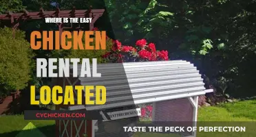 Discover the Easy Chicken Rental Location: Your Ultimate Guide