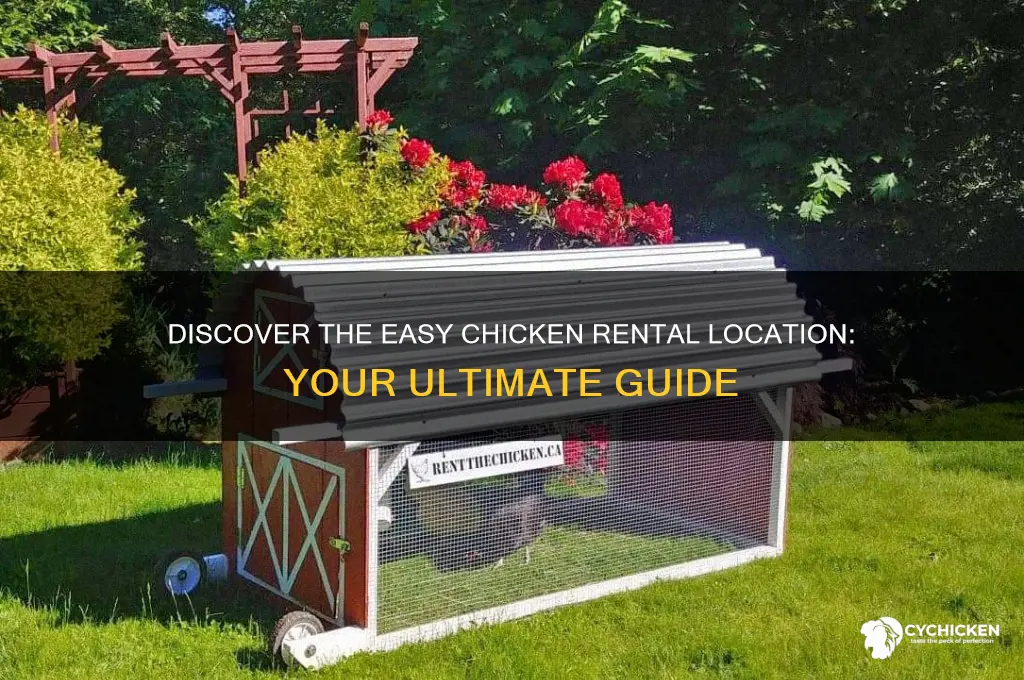 where is the easy chicken rental located