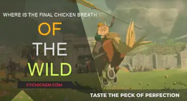 Finding the Last Chicken in Breath of the Wild