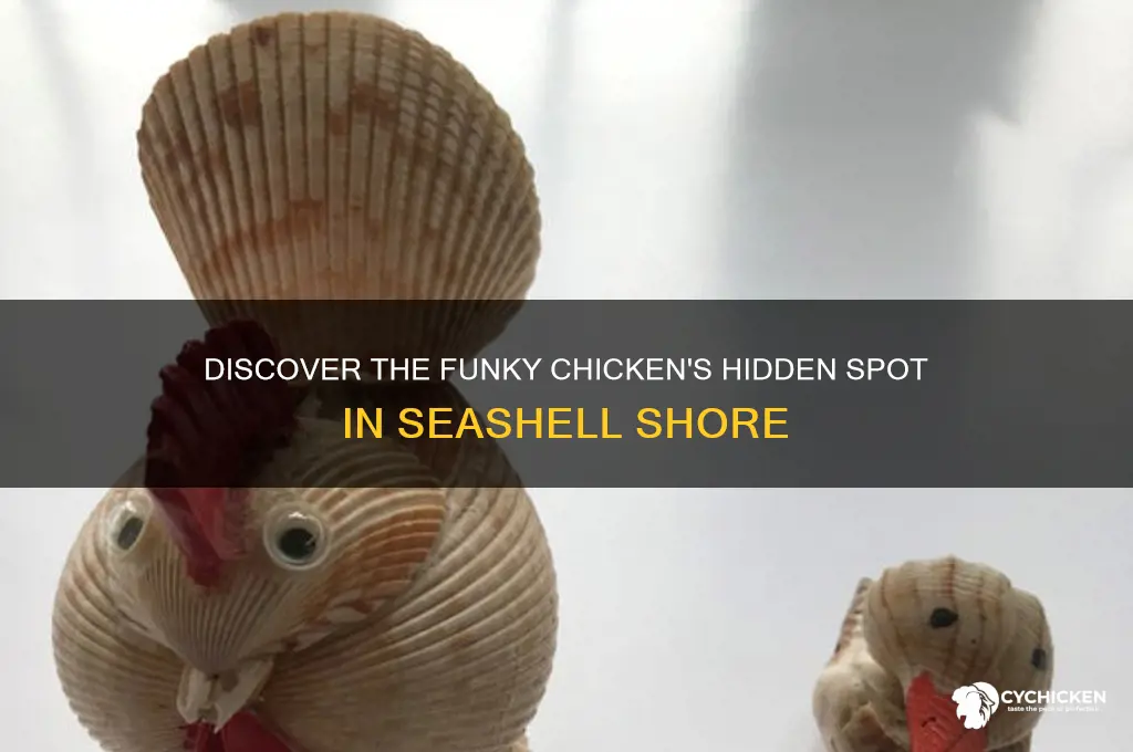where is the funky chicken in seashell shore