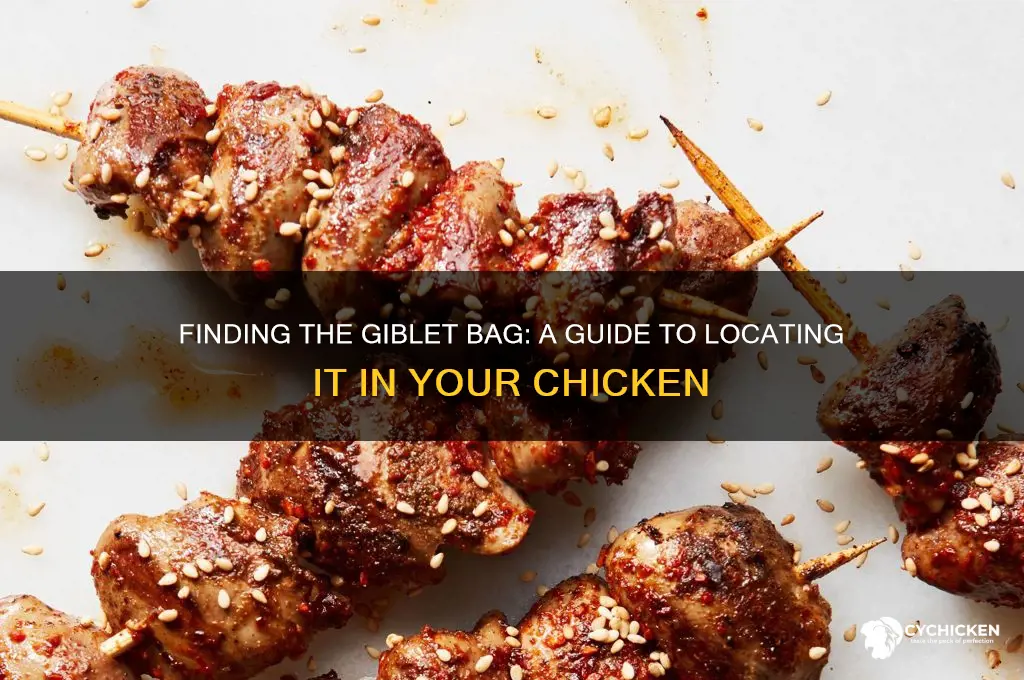 where is the giblet bag in a chicken