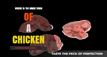 Unveiling the Mystery: Locating the Inner Thigh on a Chicken