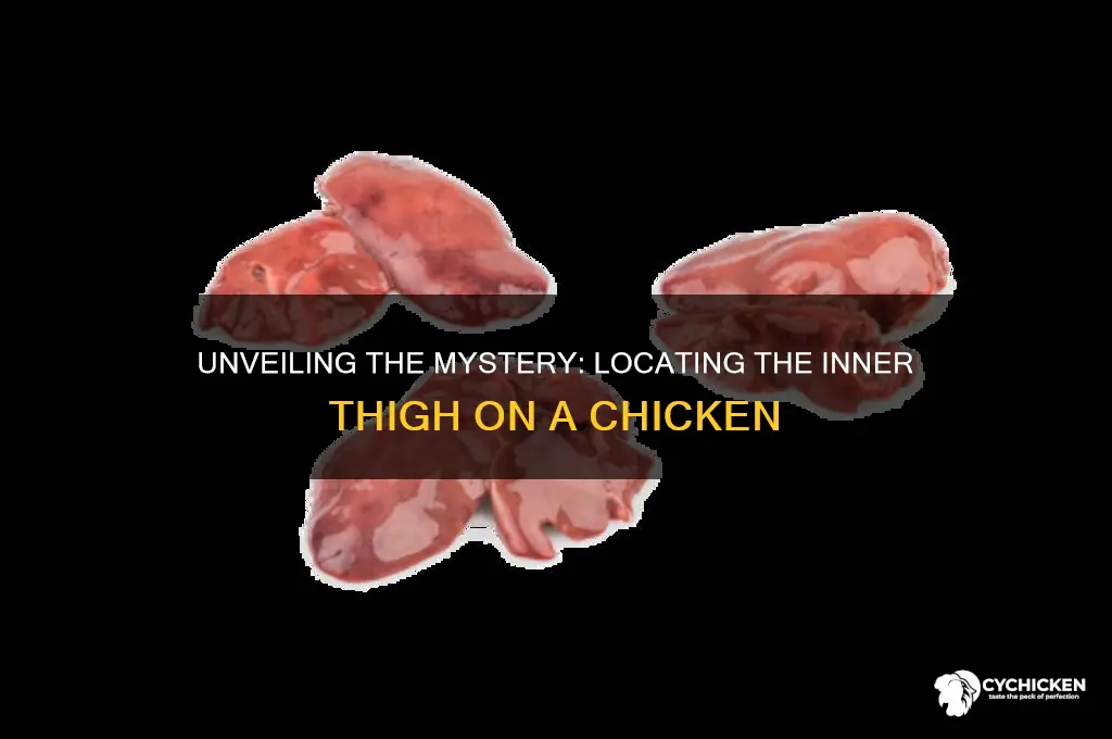 where is the inner thigh of a chicken
