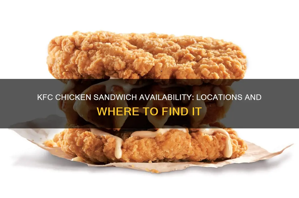 where is the kfc chicken sandwich available