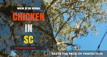 Discover the Kicking Chicken's Secret Location in South Carolina