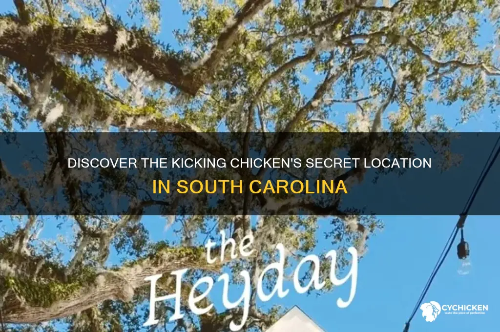 where is the kicking chicken in sc
