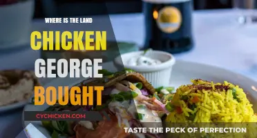 Tracing Chicken George's Land Purchase: Uncovering the Historic Location