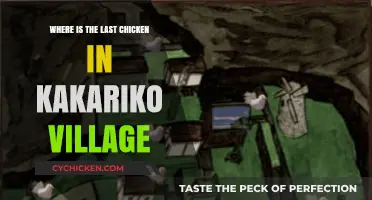 Finding Kakariko Village's Last Chicken: A Hidden Gem Guide