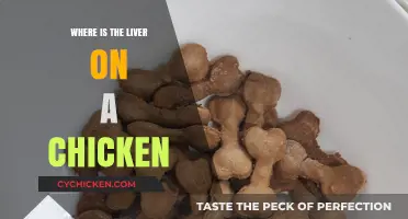 Locating the Liver: A Guide to Chicken Anatomy and Butchering
