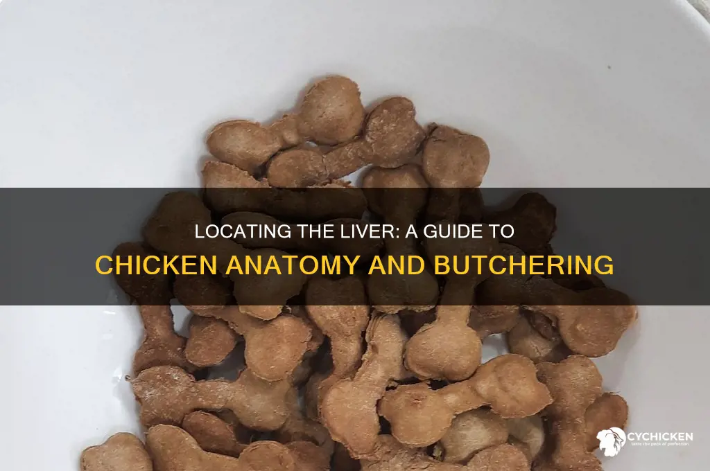 where is the liver on a chicken