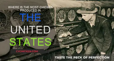 Chicken Production: Where Does the US Lead?