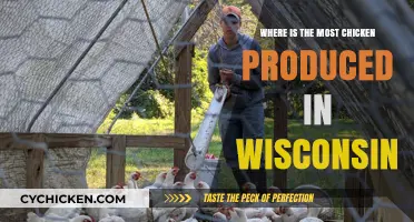 Wisconsin's Top Chicken Producing Regions: Uncovering the Leading Areas