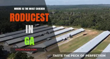 Georgia's Top Chicken Producing Regions: Uncovering the Poultry Powerhouses