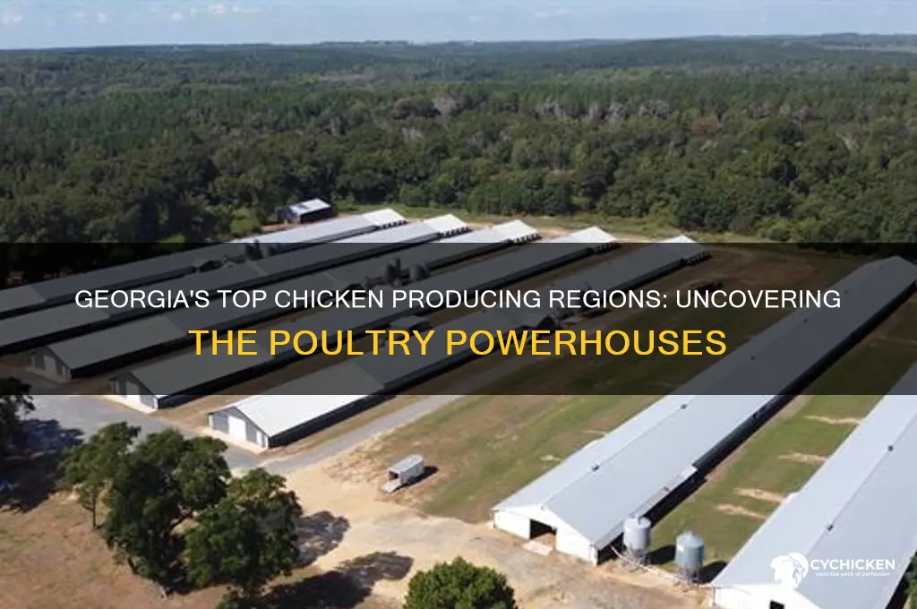 where is the most chicken roducest in ga
