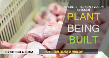 New Tyson Chicken Plant: Location and Details