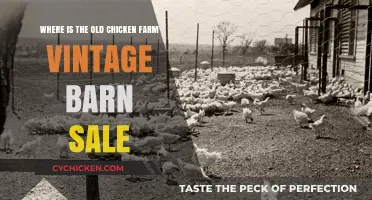 Discovering Nostalgia: The Vintage Barn Sale at Old Chicken Farm