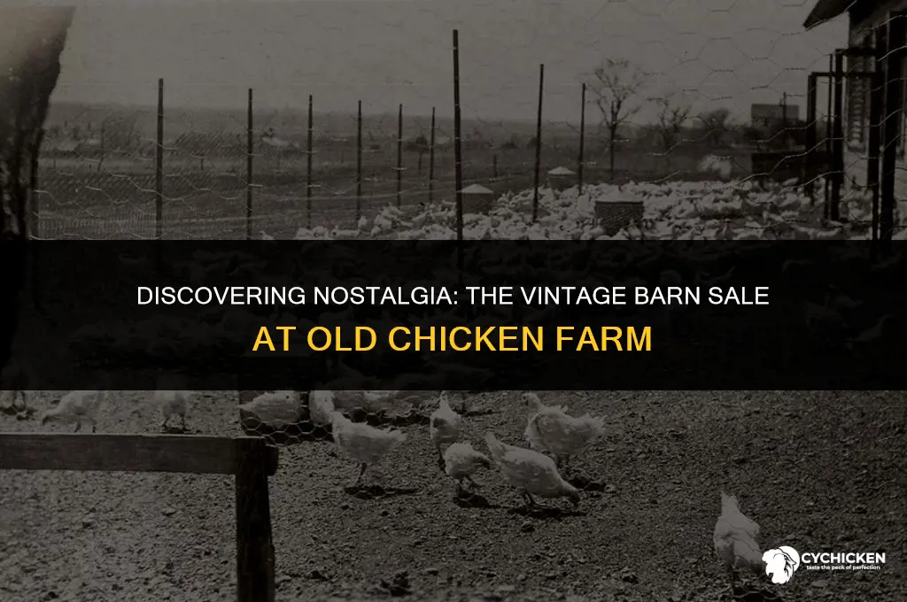where is the old chicken farm vintage barn sale