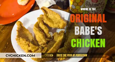 Tracing the Roots: Where to Find the Original Babe's Chicken