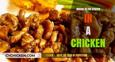 Unraveling the Myth: Where is the Oyster in a Chicken?