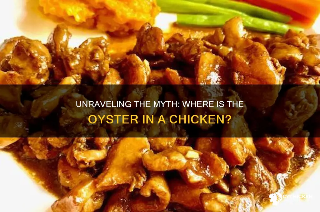 where is the oyster in a chicken