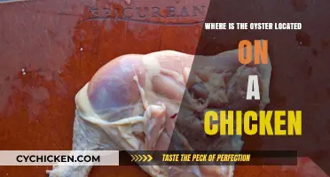 Unraveling the Myth: Oyster's Location on a Chicken Explained