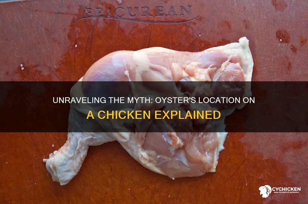 where is the oyster located on a chicken
