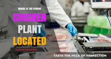 Perdue Chicken Plant Location: Where Are the Facilities Situated?