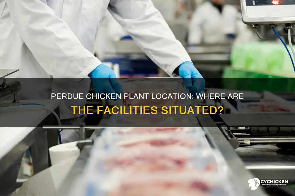 where is the perdue chicken plant located