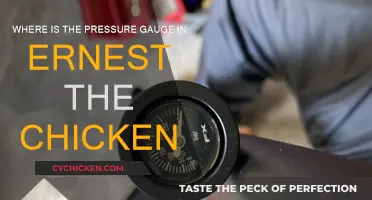 Finding the Pressure Gauge in Ernest's Anatomy