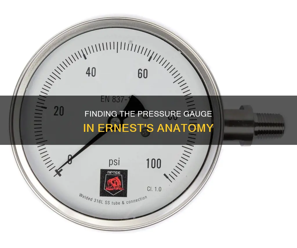 where is the pressure gauge in ernest the chicken