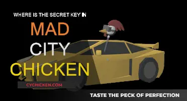 Finding the Secret Key in Mad City Chicken