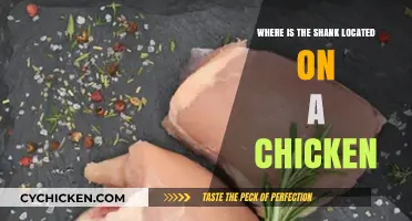 Locating the Chicken Shank: A Guide to Poultry Anatomy